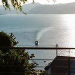 Vela
