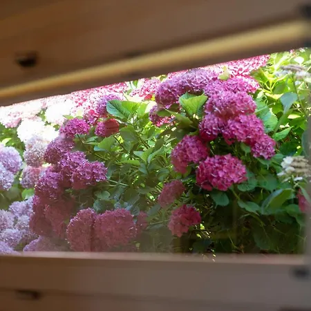 Villa Vela Torri Del Benaco