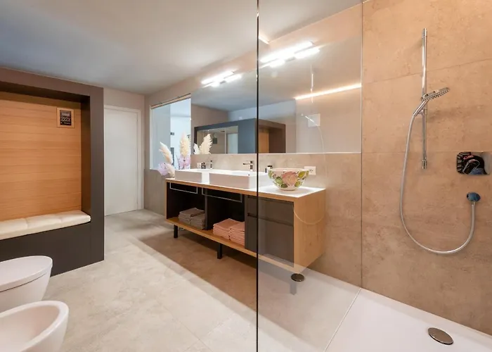 Vela * 托里德尔贝纳科