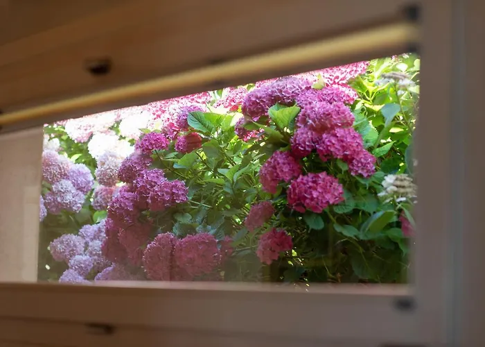 Villa Vela Torri Del Benaco